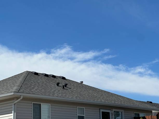 Best Roof Maintenance  in Dalhart, TX